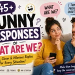 funny responses to what are we